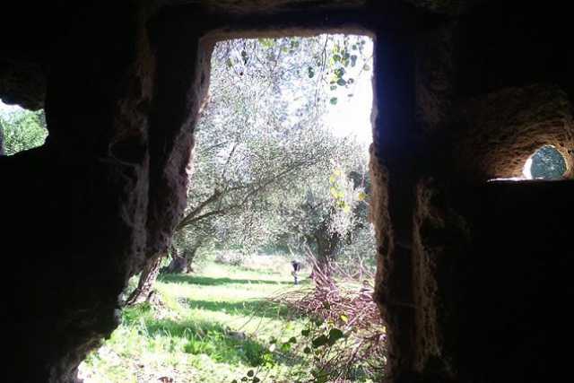 Fasano, chiese rupestri immerse tra gli ulivi secolari: � ''Lama D'Antico''